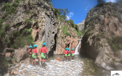 Activités de cohésion d’équipe à Toulouse : des expériences qui transforment réellement les groupes