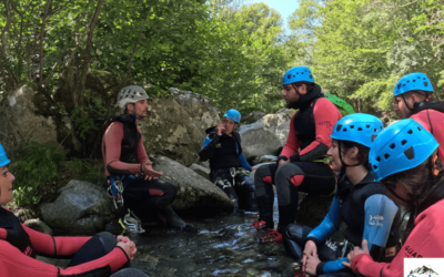 Team building sportif à Toulouse : créer une cohésion durable grâce aux activités outdoor