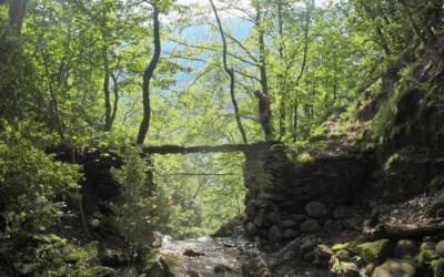 Canyoning dans les vallées pyrénéennes : paysages et sensation
