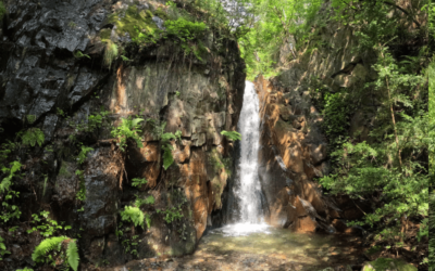 Préparer sa première sortie canyoning