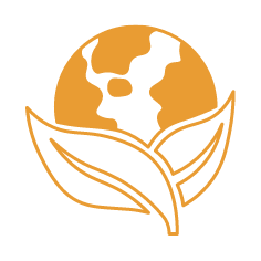 Respect de l'environnement